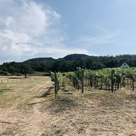 Badacsony Hegyen Ket Haloszobas Haz Tatil Evi