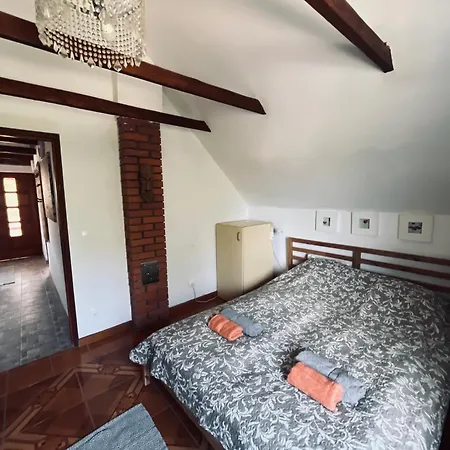 Tatil Evi Badacsony Hegyen Ket Haloszobas Haz Nemesgulács