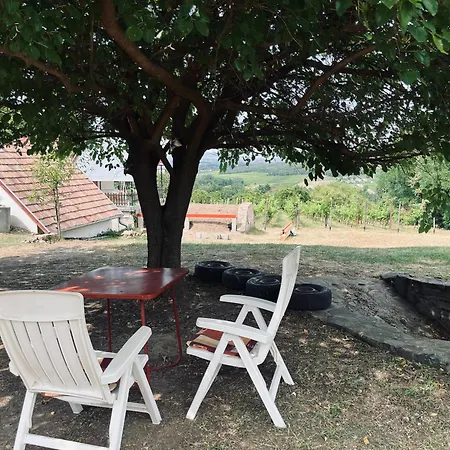 Badacsony Hegyen Ket Haloszobas Haz Tatil Evi Nemesgulács