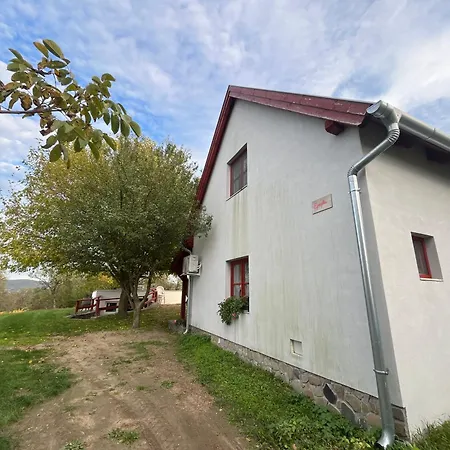Tatil Evi Badacsony Hegyen Ket Haloszobas Haz *