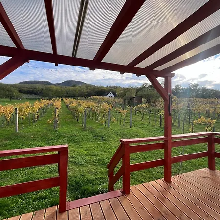 Holiday home Erdodi Pince Badacsony Bazaltos Haz *