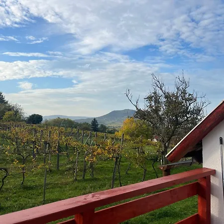 Badacsony Hegyen Ket Haloszobas Haz Tatil Evi