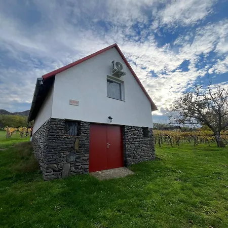 Badacsony Hegyen Ket Haloszobas Haz Tatil Evi *